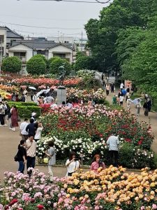 お散歩ゴミ拾い